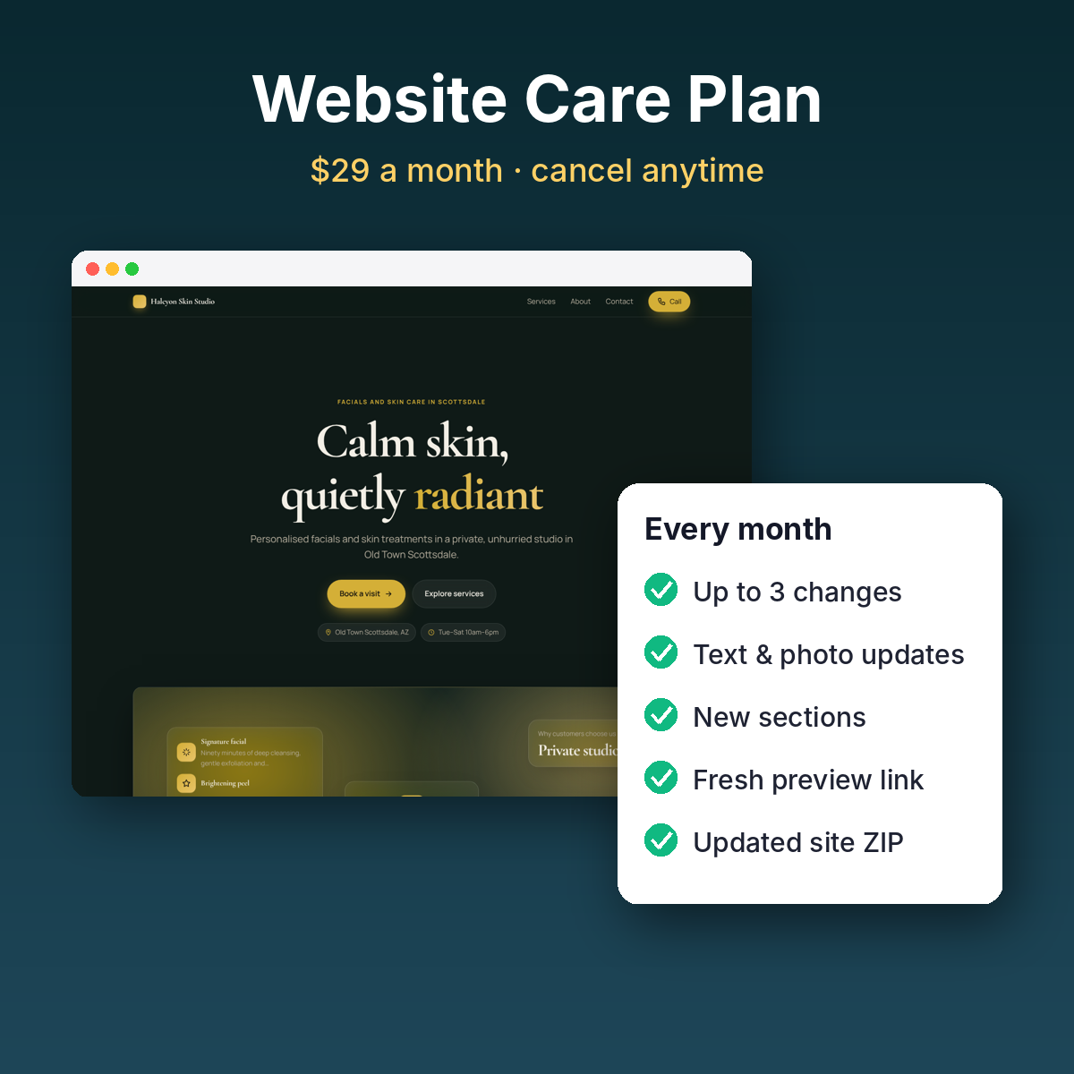Website Care Plan (1 month)